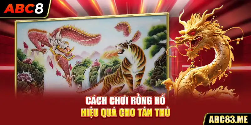 Cách chơi rồng hổ hiệu quả cho tân thủ