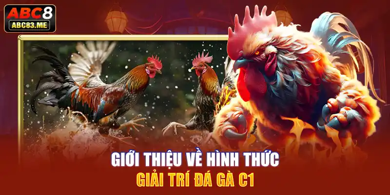 Giới thiệu về hình thức giải trí đá gà C1