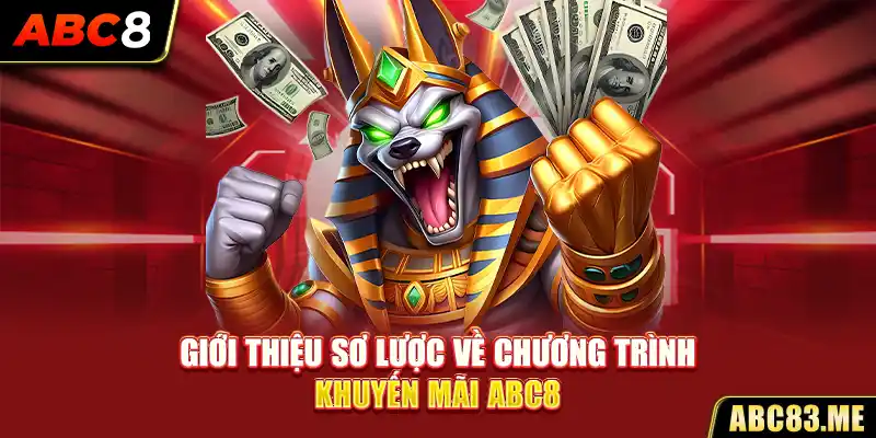 Giới thiệu sơ lược về chương trình khuyến mãi ABC8