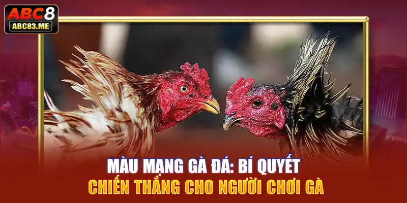 Màu mạng gà đá