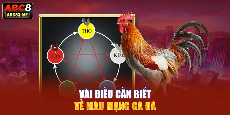 Vài điều cần biết về màu mạng gà đá