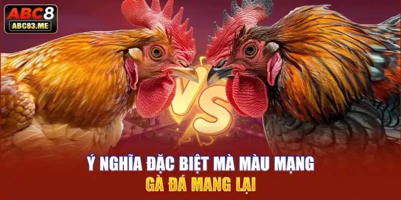 Ý nghĩa đặc biệt mà màu mạng gà đá mang lại 