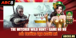 The Witcher Wild Hunt