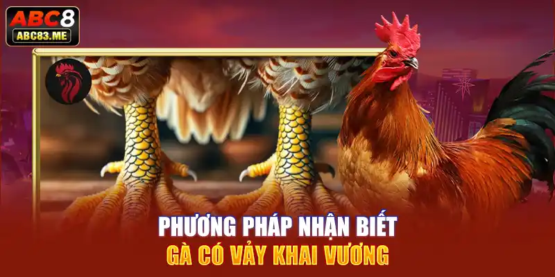 Cách nhận biết chiến kê đá hay 