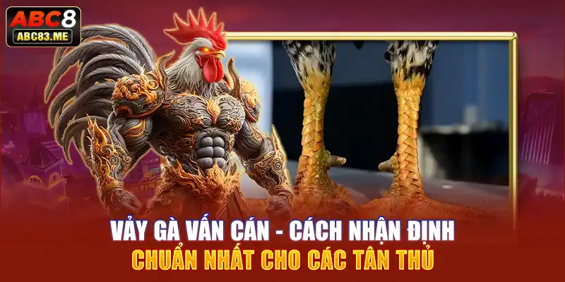 Vảy gà vấn cán